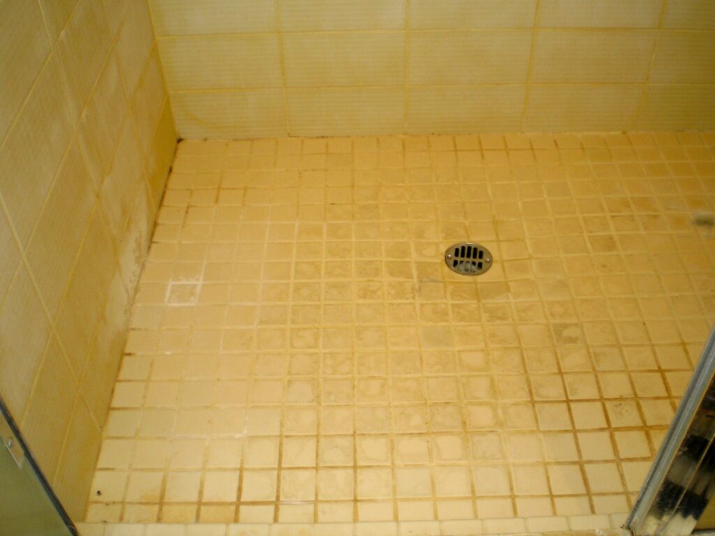 Best Carpet Solution Carpet Cleaning in Charlotte NCBest Carpet